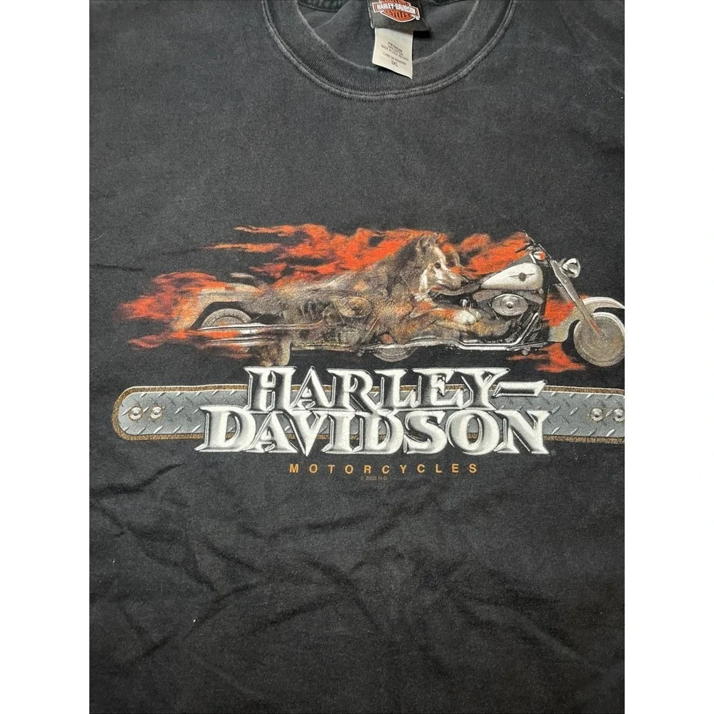Harley Davidson 3XL Wolf Graphic T Shirt Aspen Valley Colorado Biker USA